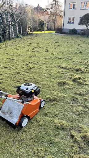 Royal Wertykulacja Aeracja Pielęgnacja zieleni koszenie trawy wykaszanie nieużytków sprzątanie wspólnot cięcie żywopłotu